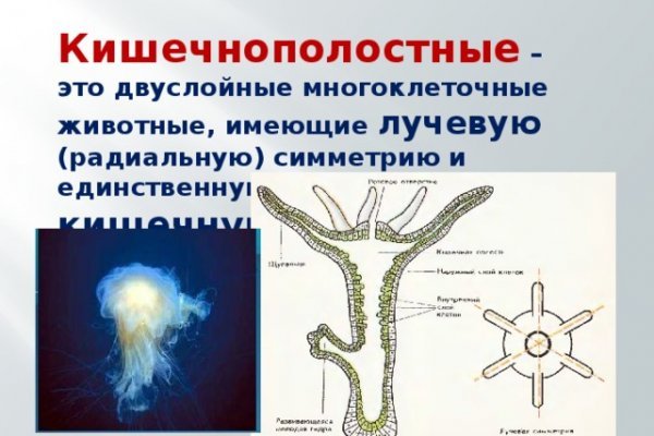 Зеркала на кракен kraken014 com