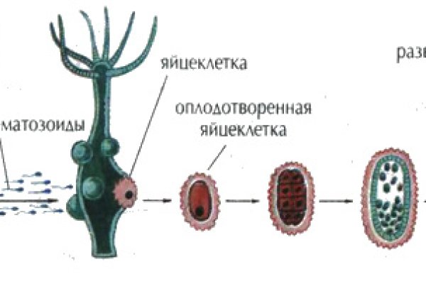 Ссылка на кракен тор браузер